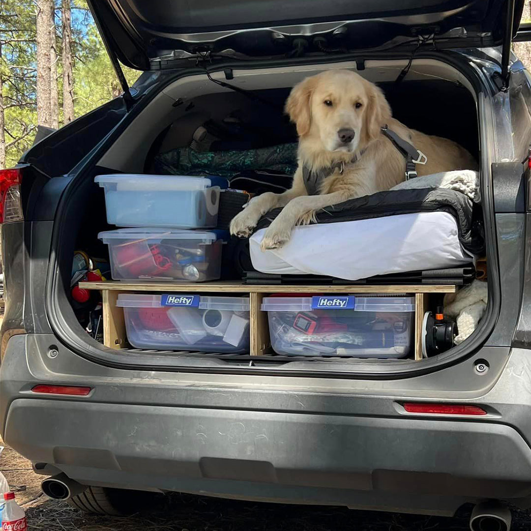 Dogs Rav4 Toyota RAV4 Sleeping Platform – CarToCamp